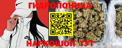 СК Будённовск
