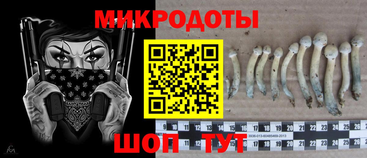 Наро-Фоминск  Псилоцибиновые грибы GOLDEN TEACHER  Вход с VPN  Псилоцибиновые грибы прущие грибы 